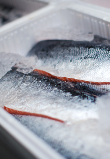 Morgans Fine Fish frozen fish on ice