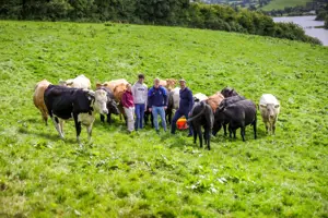 Sam Hill in field with his cows