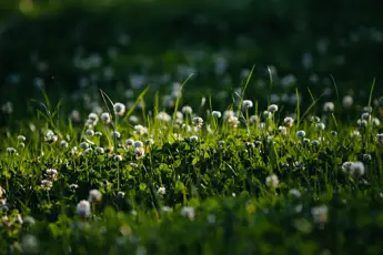 Using the Farmer Feedback Report for decision making