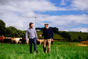 Draft new audit criteria