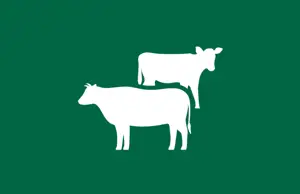 Beef Market Tracking