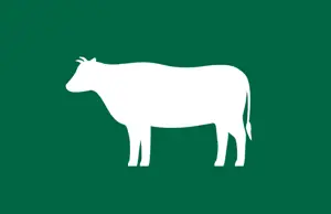 Cattle Price Dashboard