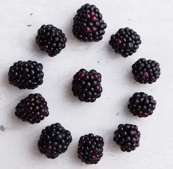 Blackberry