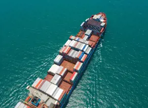 Bord Bia Export Performance & Prospects 2020 - 2021