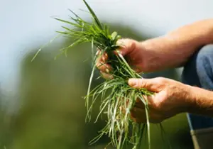 Sustainability Survey