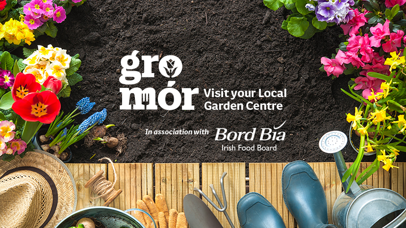 Earth with flowers and GroMor logo and Bord Bia logo