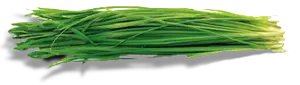 Chives