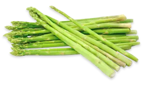 Asparagus
