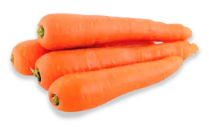 Carrot