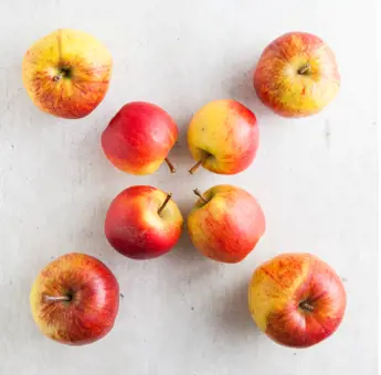 Why Choose Seasonal?