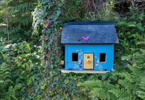 Create a Fairy Garden