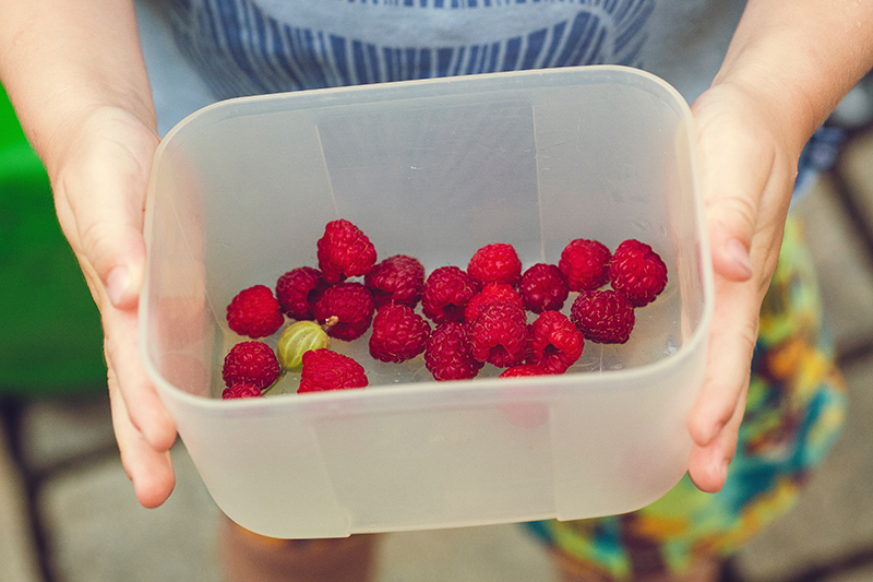 Child picking organic fruit