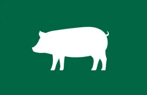 EU Reference and Representative Pig Prices