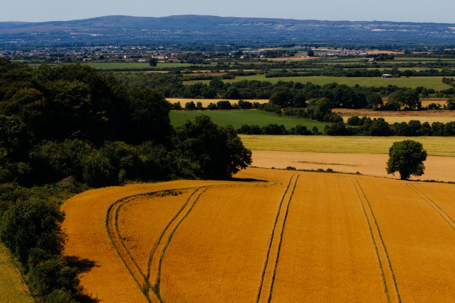 McCormack Family Farms - Banner Image