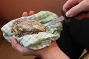 Opening an Oyster