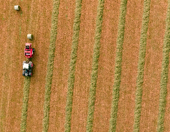Combine harveter working in wheat field