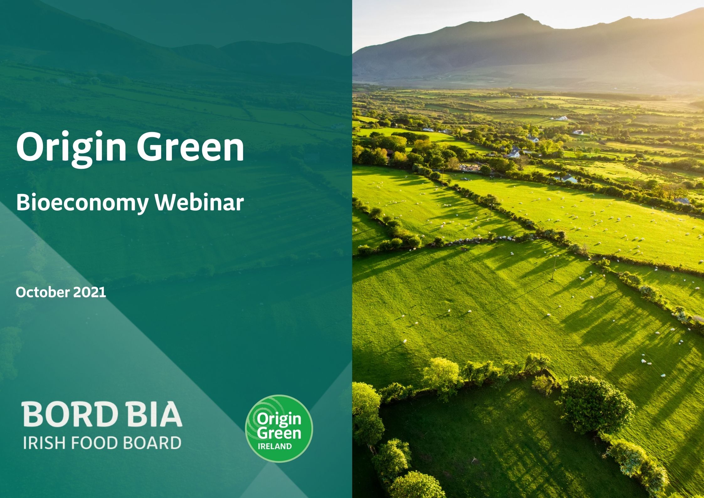Origin Green Bioeconomy Webinar